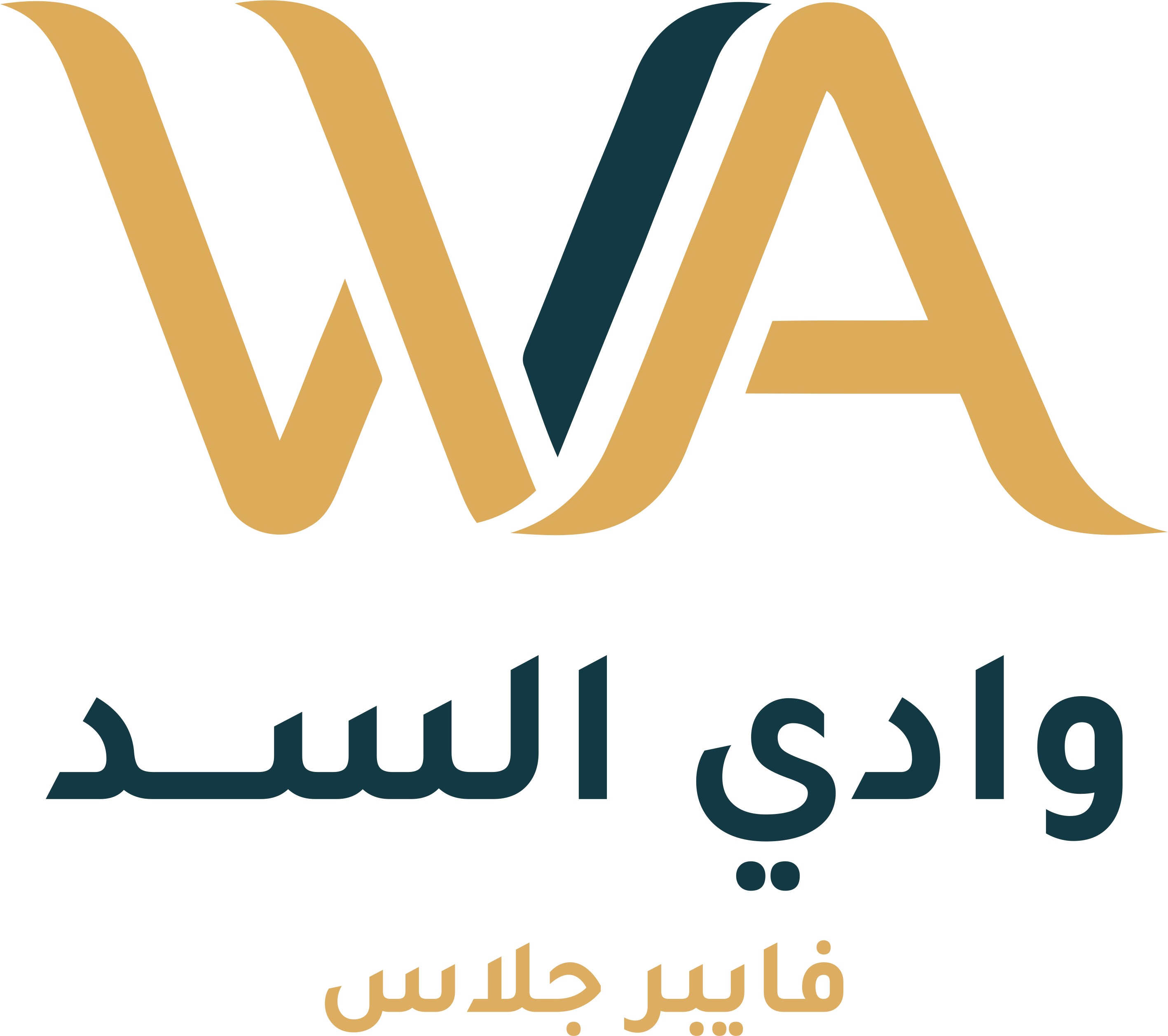 شعار وادي السد الملون